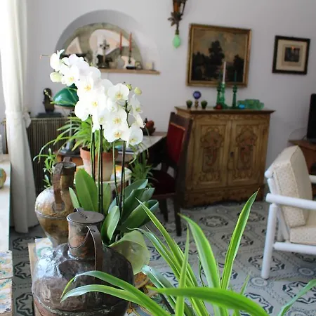 Mora Hotel